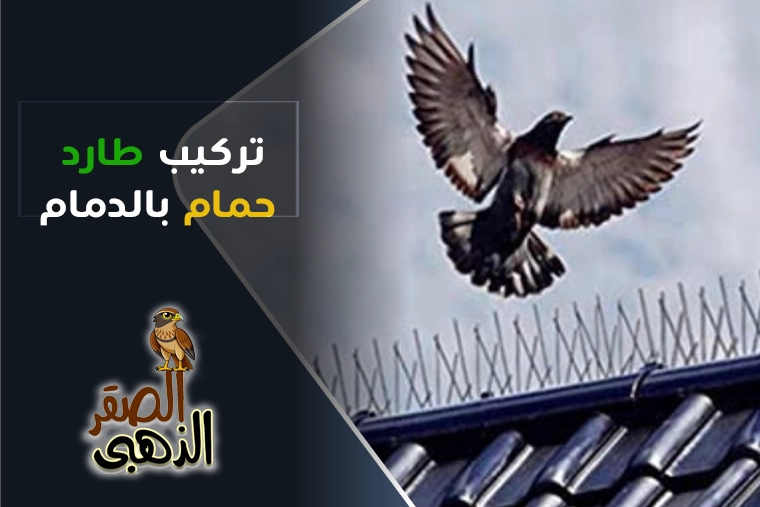 شركة تركيب طارد حمام بالدمام